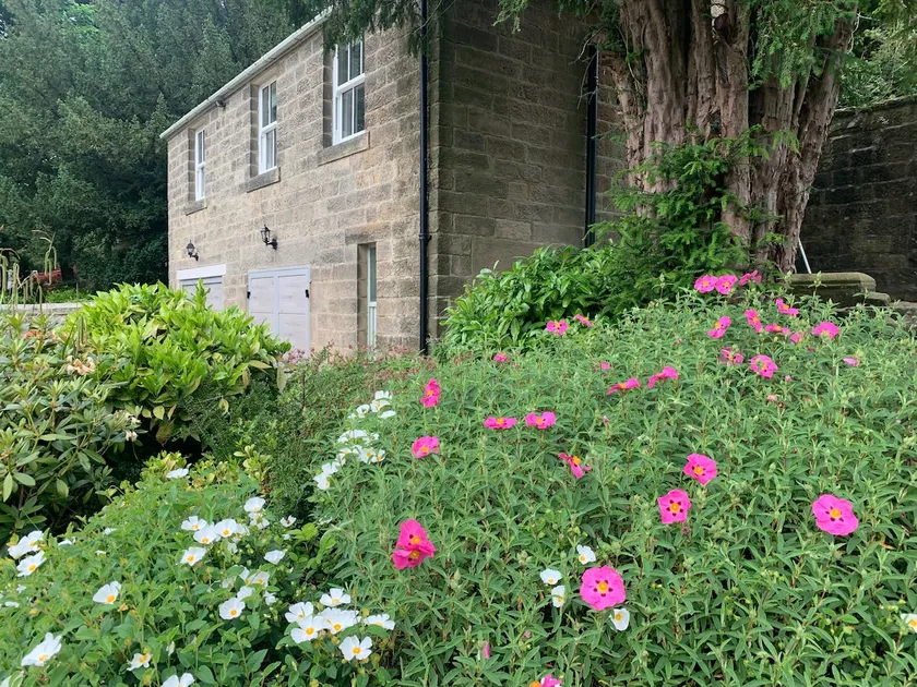Cosy Coach House, in the Peak District - Image 1