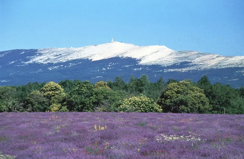 A stopover in Provence - Image 1