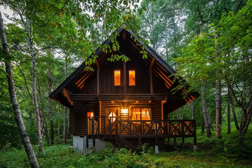 Elegant, Secluded Cabin for Couples & Families - Image 1