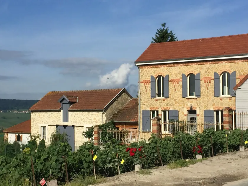 Maison Le Figuier, a stone's throw from the winemaker - Image 1