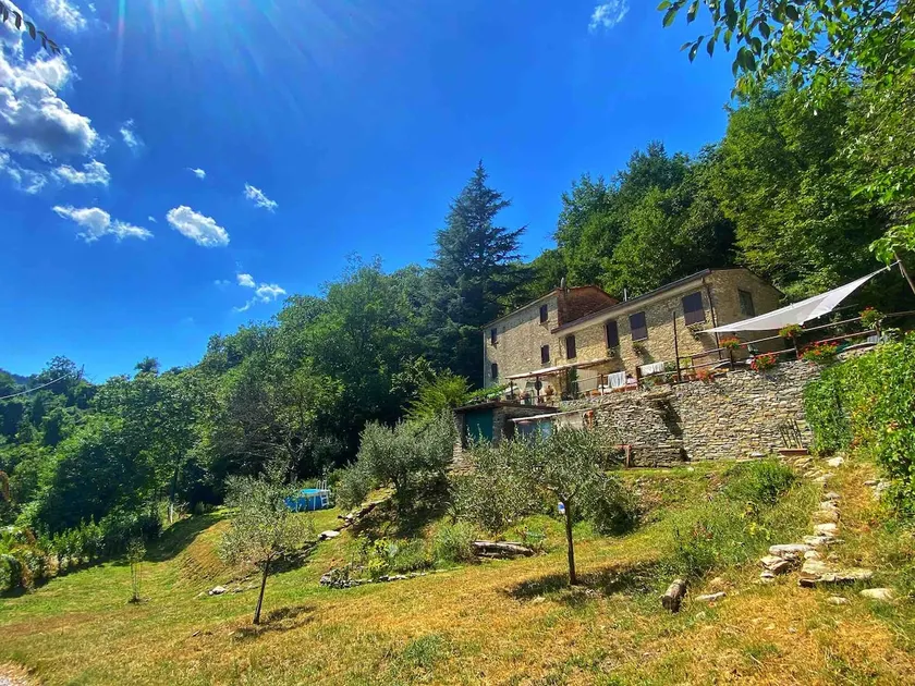 Nature, mountains and relaxation: holidays in Alta Versilia - Image 1