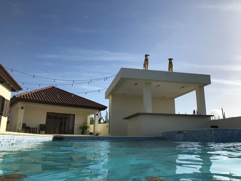 NEW Luxury 1 BR AP w Private Pool / 3M DR to Beach - Image 1