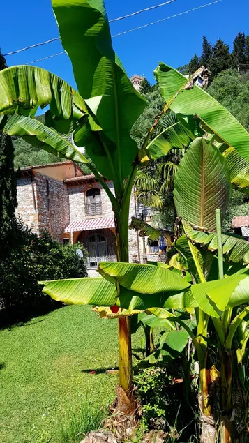 Il ParaPendio Holiday Home - Image 1