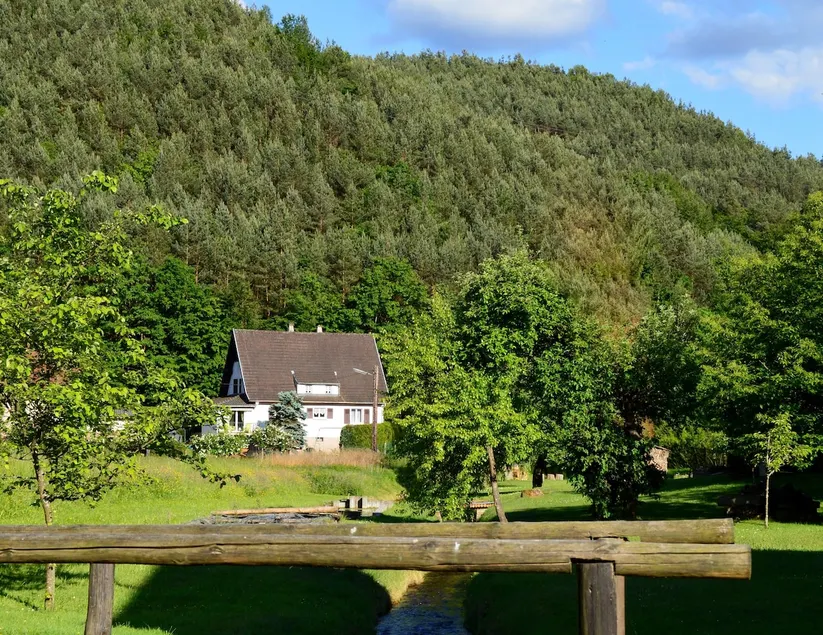 Squirrel's Cottage • Nature, Pool & Jacuzzi - Image 1