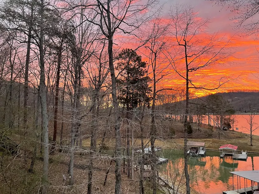 Lakefront Cottage with Private Dock on Norris Lake - Image 1