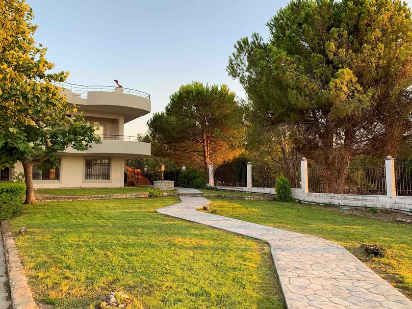 Pap house - Image 1
