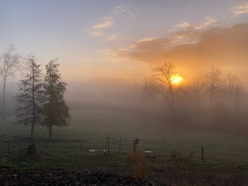 Buirchwood Retreat - Image 1