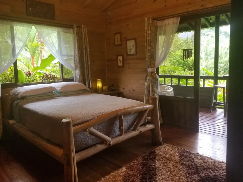 200Mbps fiber optic- La Fortuna - Arenal Volcano - 2 Bedroom cabin AMAZING view! - Image 1