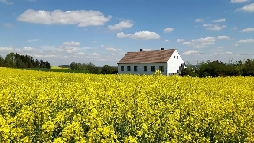 Quiet country house for exclusive use dog-friendly - Image 1