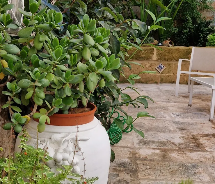 Xenia Boutique Apartment - Image 1