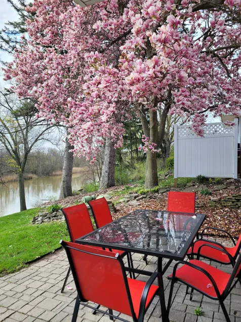 dock, game room, bar and private river view patio - Image 1
