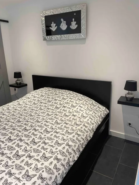 Sunny guest house in Zandvoort ZUIDPUNT - Image 1