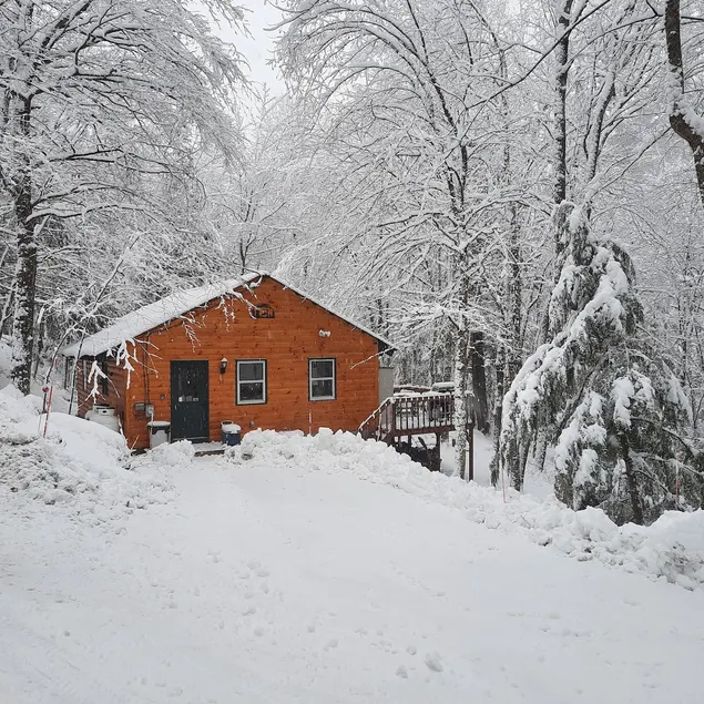 Cabin retreat just steps from adventure - Image 1