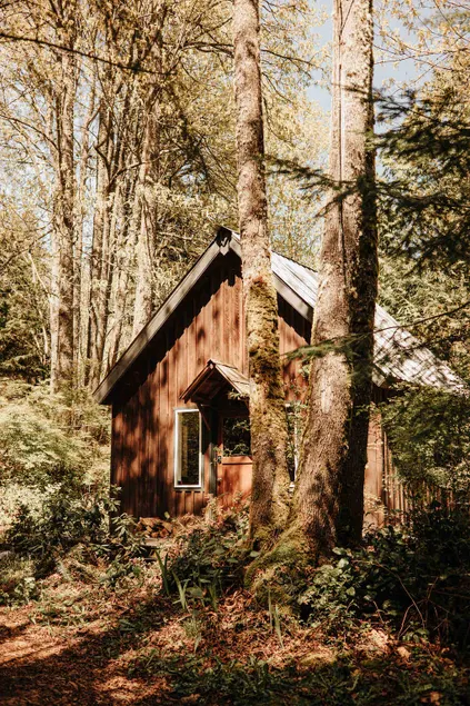 Forest Cabin + Beach - Image 1