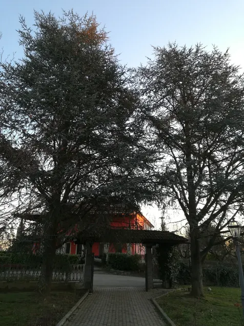 Villa Laura - Image 1