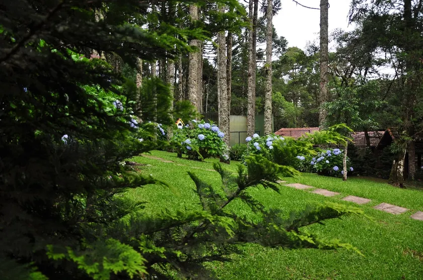 Cedrus Libani Chalet - Image 1