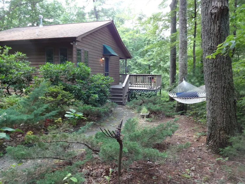 Pines- Secluded cabin in Blue Ridge mountains - Image 1