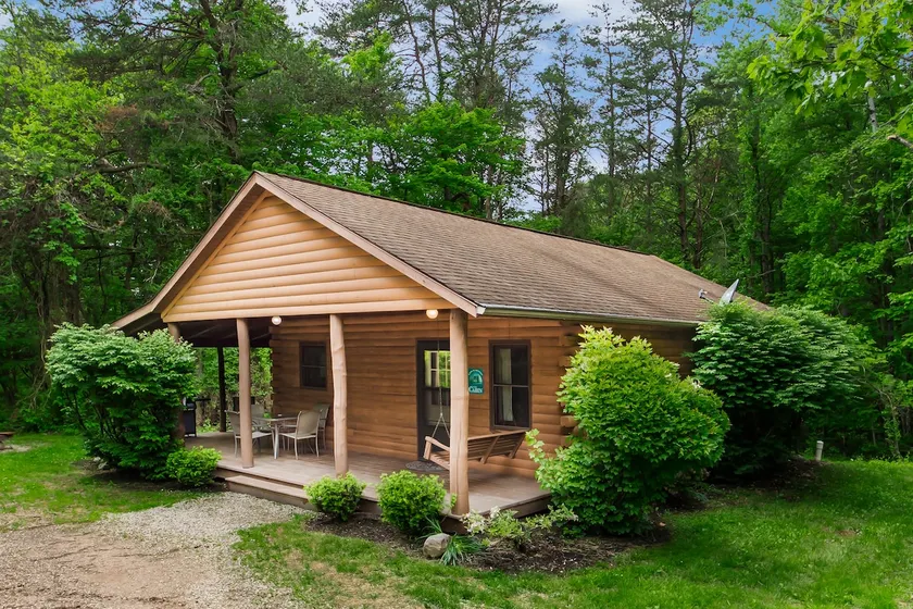 Cozy and secluded 2-bedroom Pine Grove Cabin - Image 1