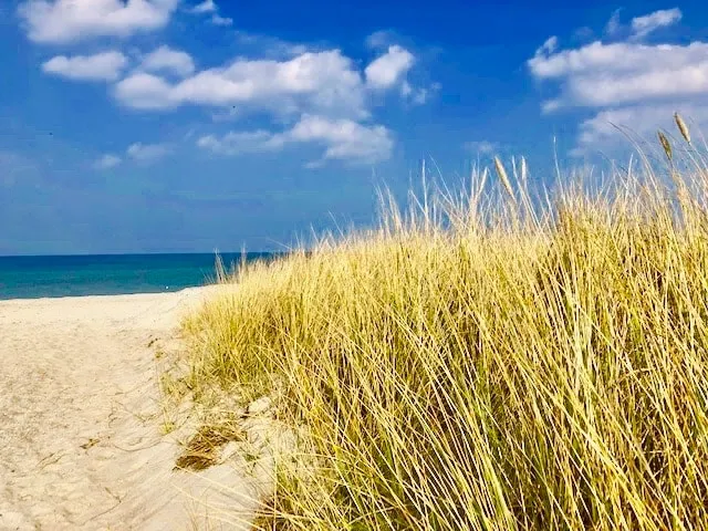 Small apartment ”Eulenlug” on the Baltic Sea - Image 1