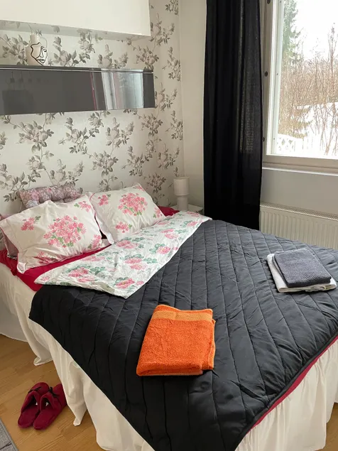 4 (-6 years) +2 children, Cozy Vihilahti with sauna - Image 1