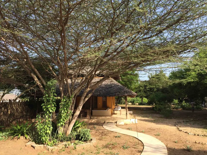 Mangrove House - Image 1