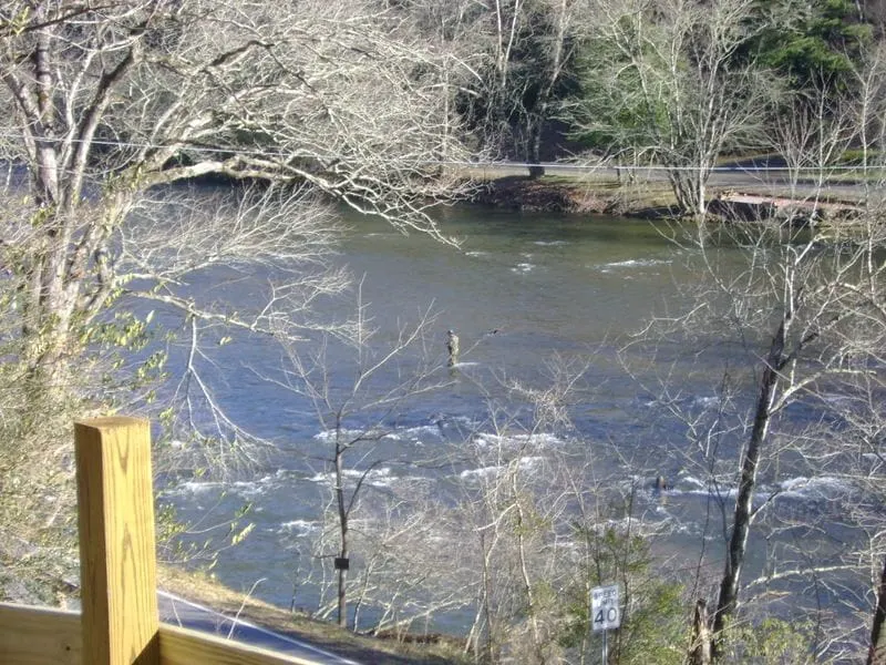 Sylva cabin overlooking Tuckasegee River - Image 1
