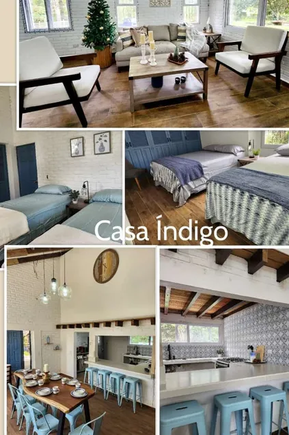 Indigo House - Image 1