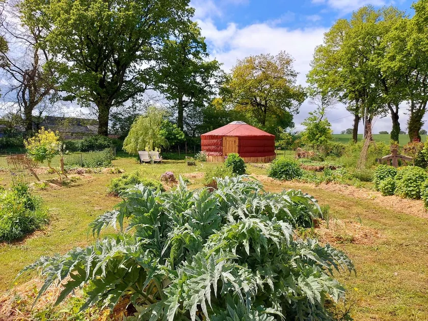 Lovely yurt in the countryside - Image 1