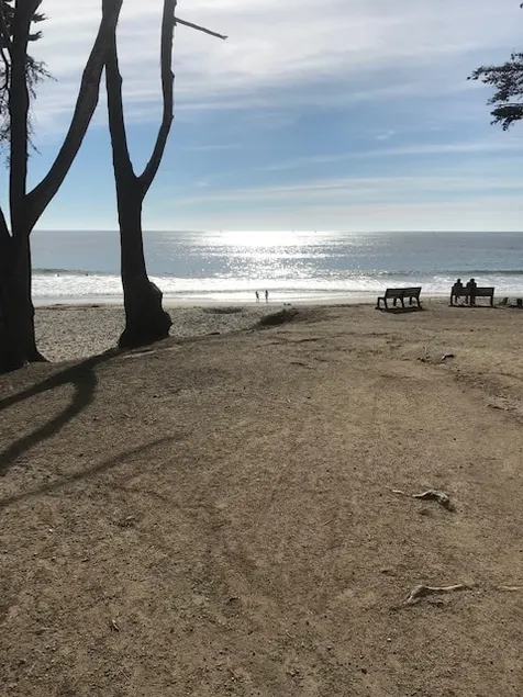 Steps to Blacks Beach - Image 1