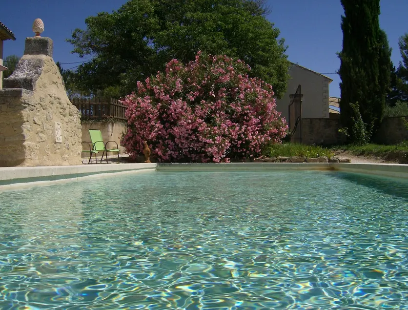 The Vineyard - Image 1