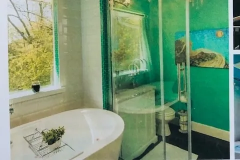 Spa Suite at Ecusta Trail - Image 1