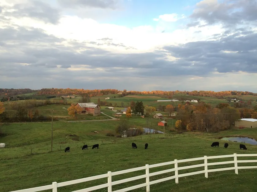 Great for Friends & Families, Breathtaking View, Nature Trails, Farm Animals - Image 1