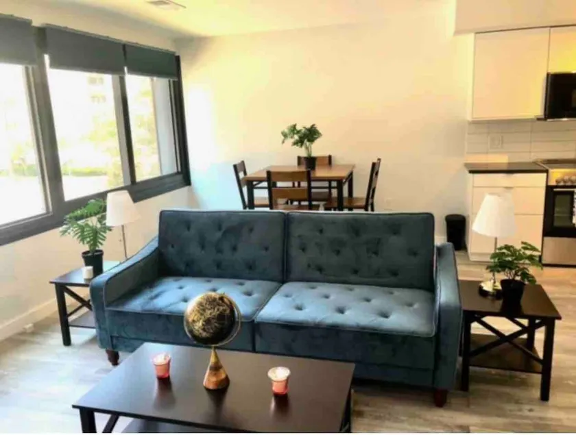 New Exquisite Condo WiFi downtown Silver MD - Image 1