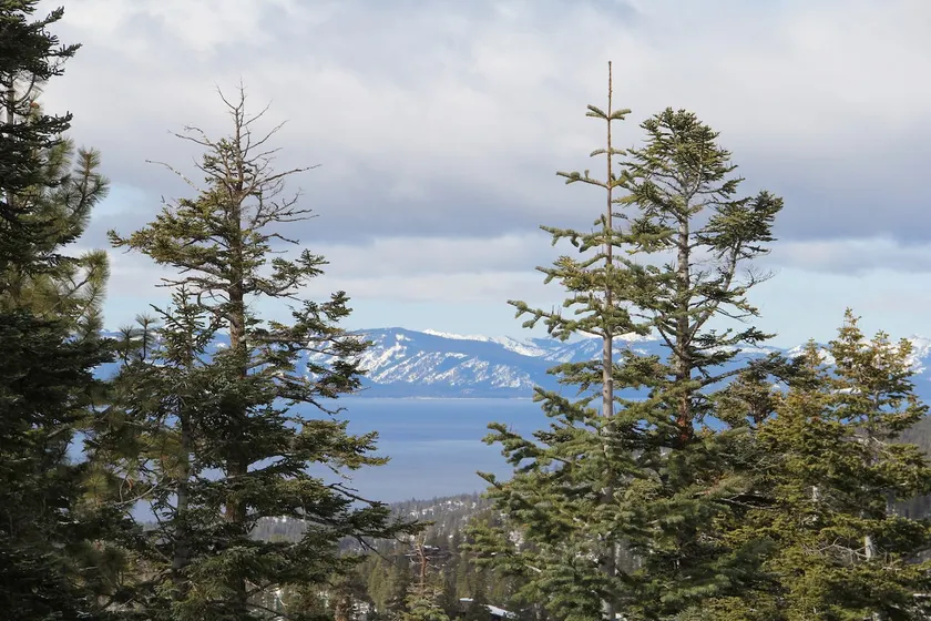South Lake Tahoe view condo: shared hot tub/pool - Image 1