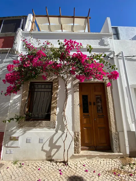 The Marmalade House - Image 1