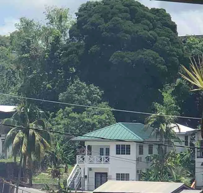 Balata Tree House -Historic house, tropical garden - Image 1