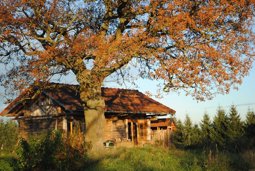 Authentic wooden chalet with sauna - Image 1