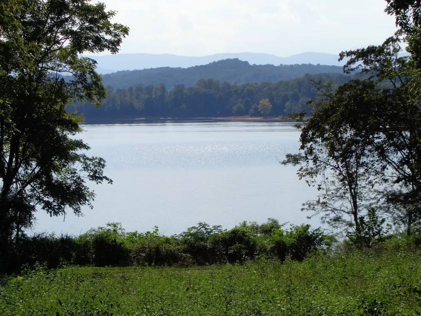Peaceful lakeview with dock* and dog run - Image 1