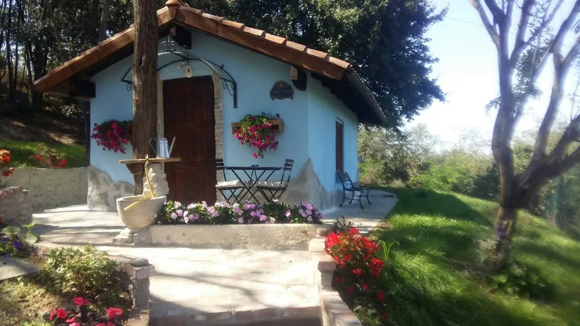 House in the original grove - Image 1