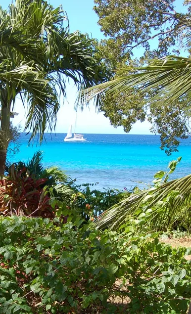 ‘Oceans’ beach cottage on the platinum west coast - Image 1