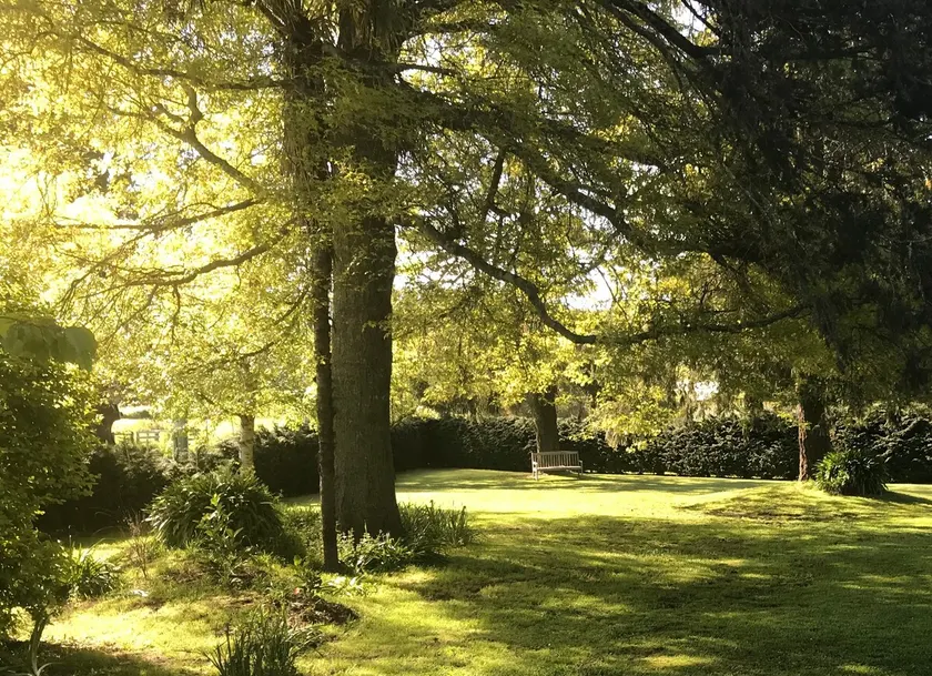 Quiet as country, one minute from great coffee - Image 1