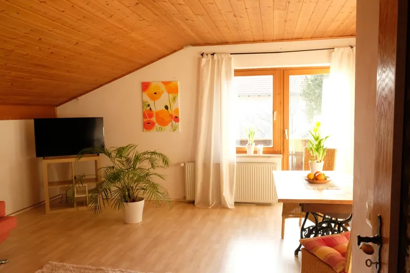 Fantastic apartment (100 square meters) in the foothills of the Alps - Image 1