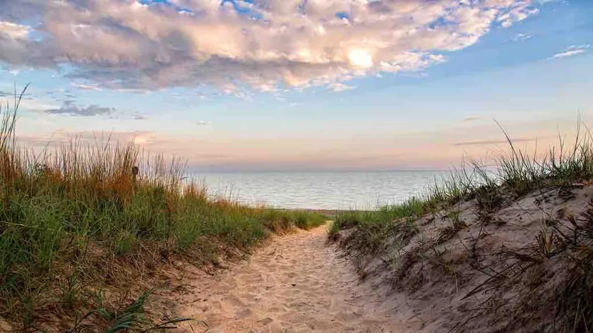 Blue Birdhouse - Indiana Dunes - Image 1