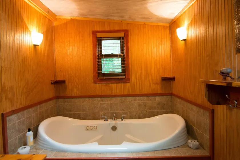Hot Tub | Pet-Friendly | Parking | Wooded Cabin - Image 1