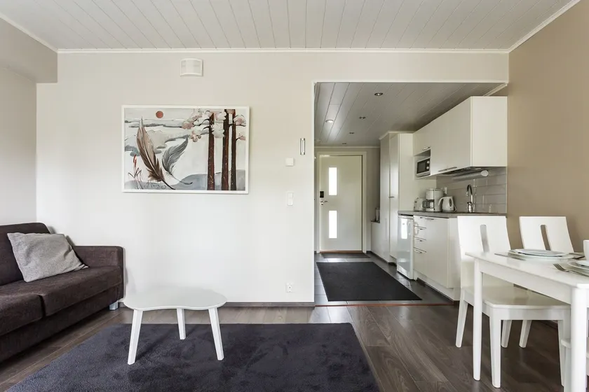 Four-bed studio with sauna and terrace - Image 1