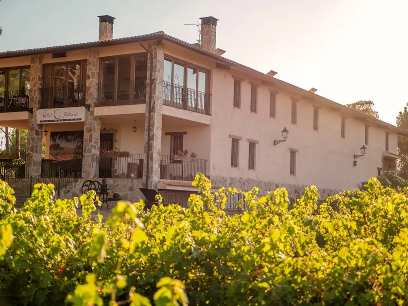 Country House in a Winery. La Posada de Vitis - Image 1