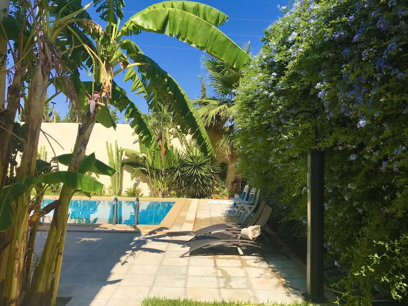 Perfect Beach Villa with pool - Image 1