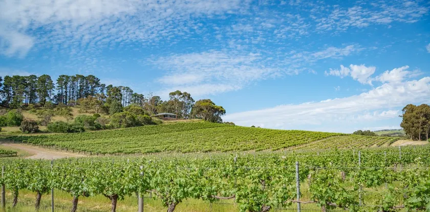 McLaren Vale Getaways - Image 1