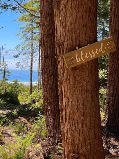 The Honeybear Cabin, Ocean-view Forest Retreat - Image 1
