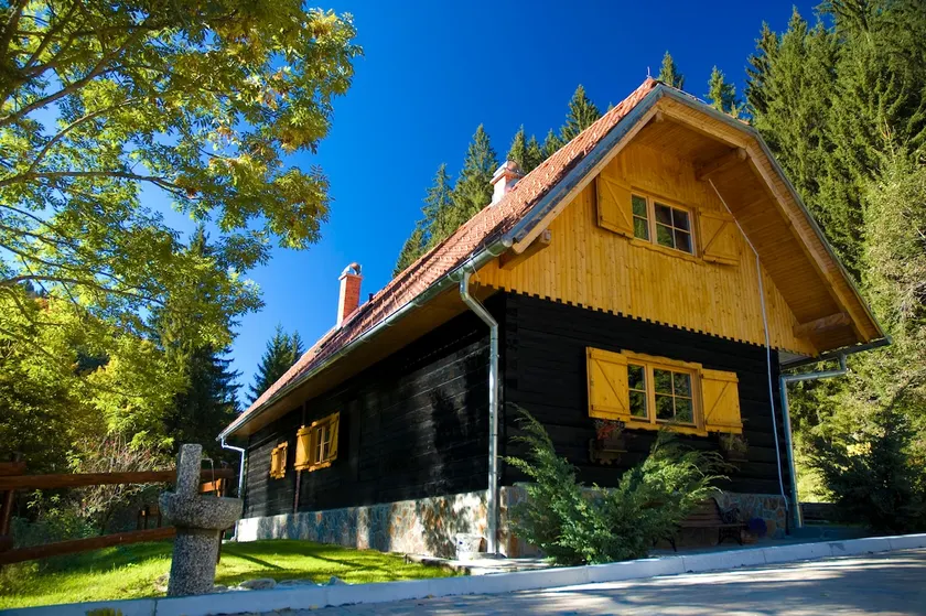 Rogla Dandi Pohorje house 1, Apt 1 - Image 1
